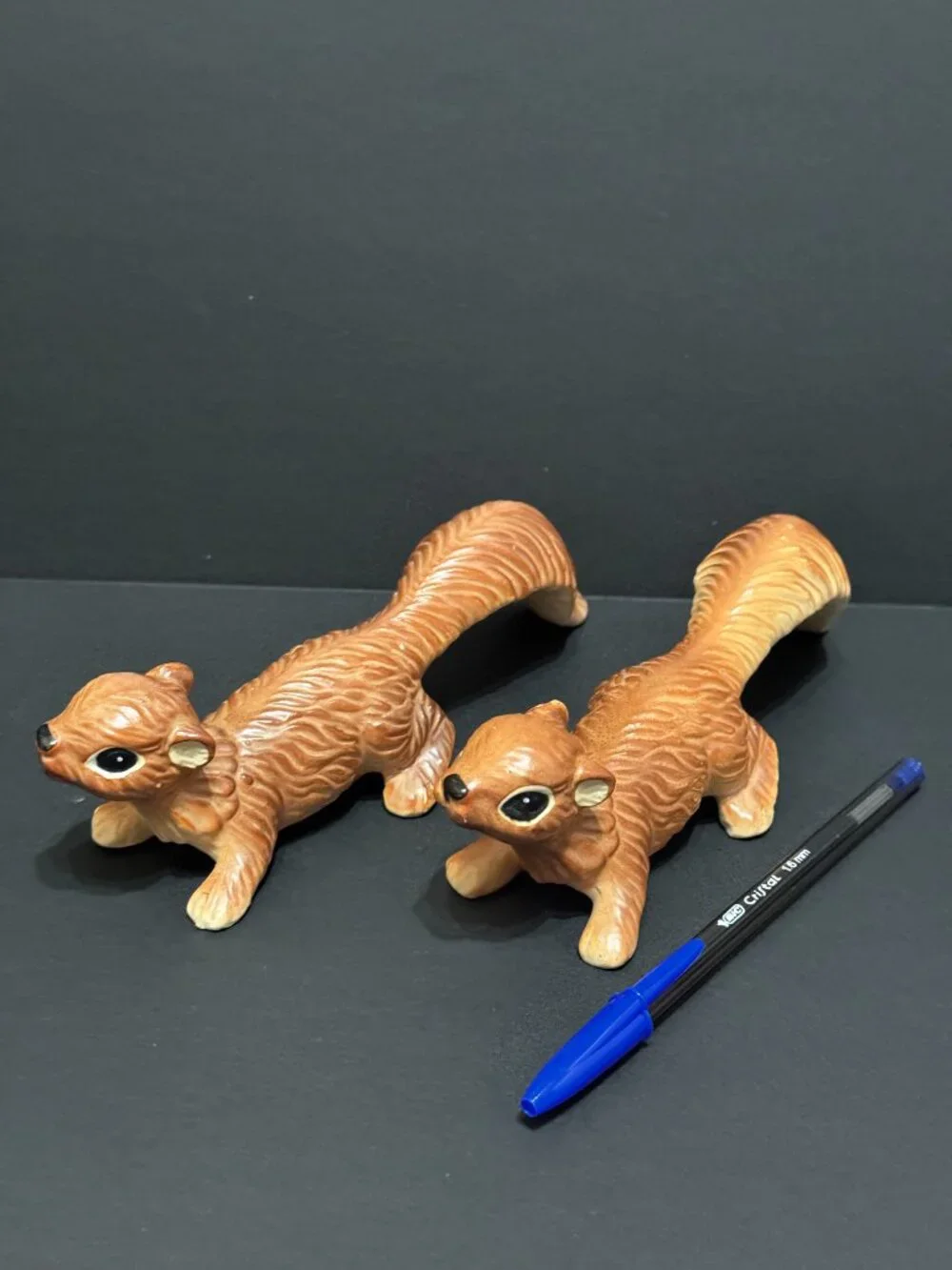 N/A norcrest squirrel